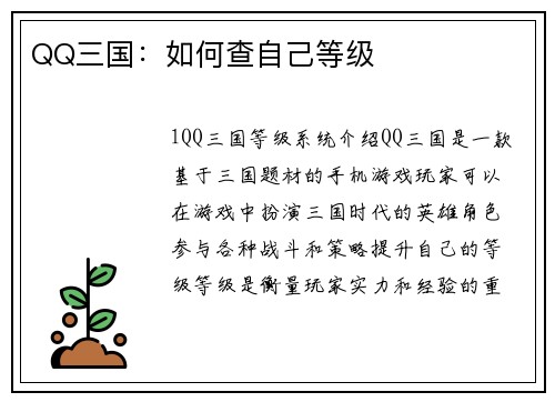 QQ三国：如何查自己等级