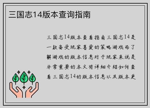 三国志14版本查询指南